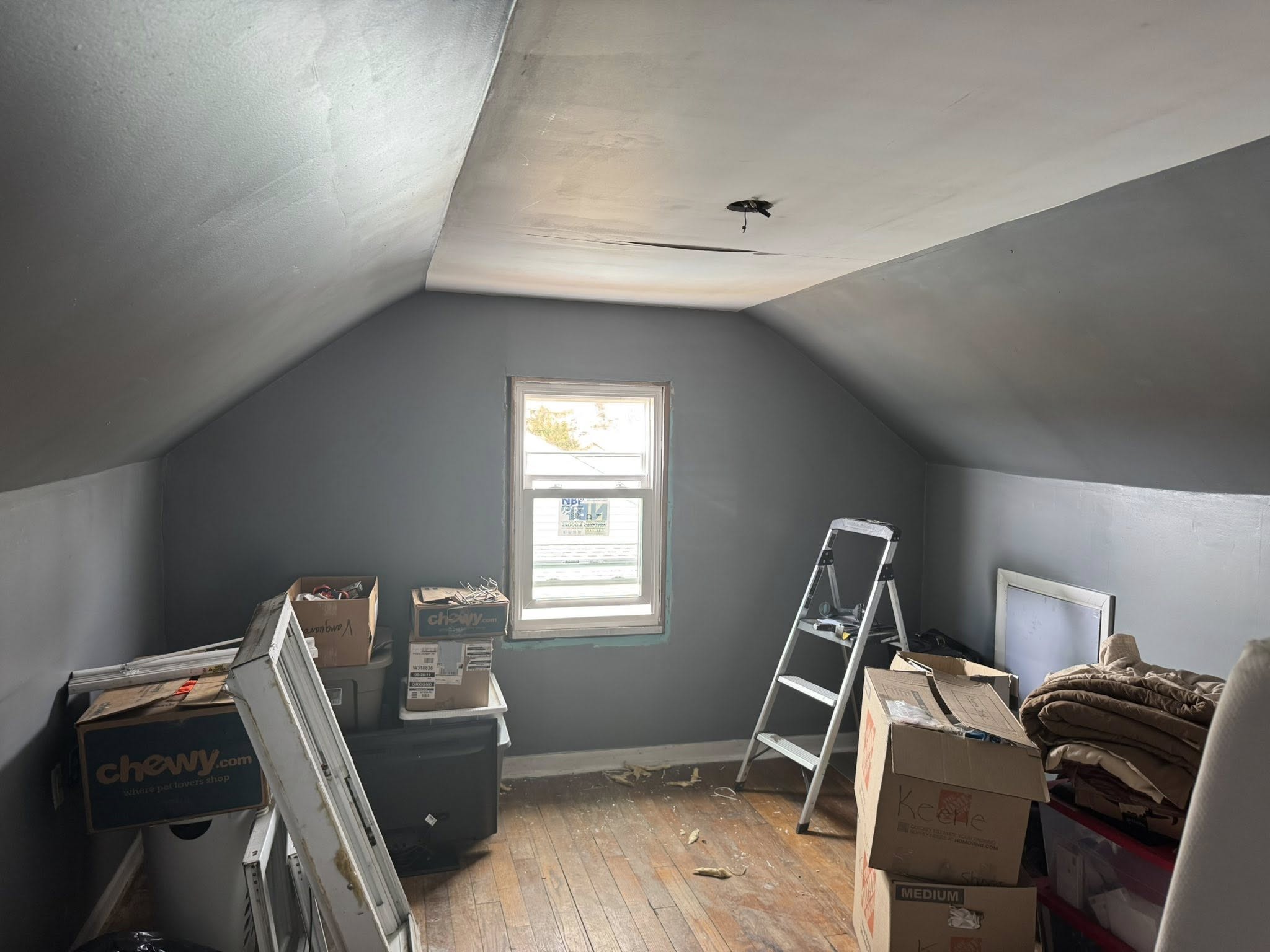 Carpet & Paint 1