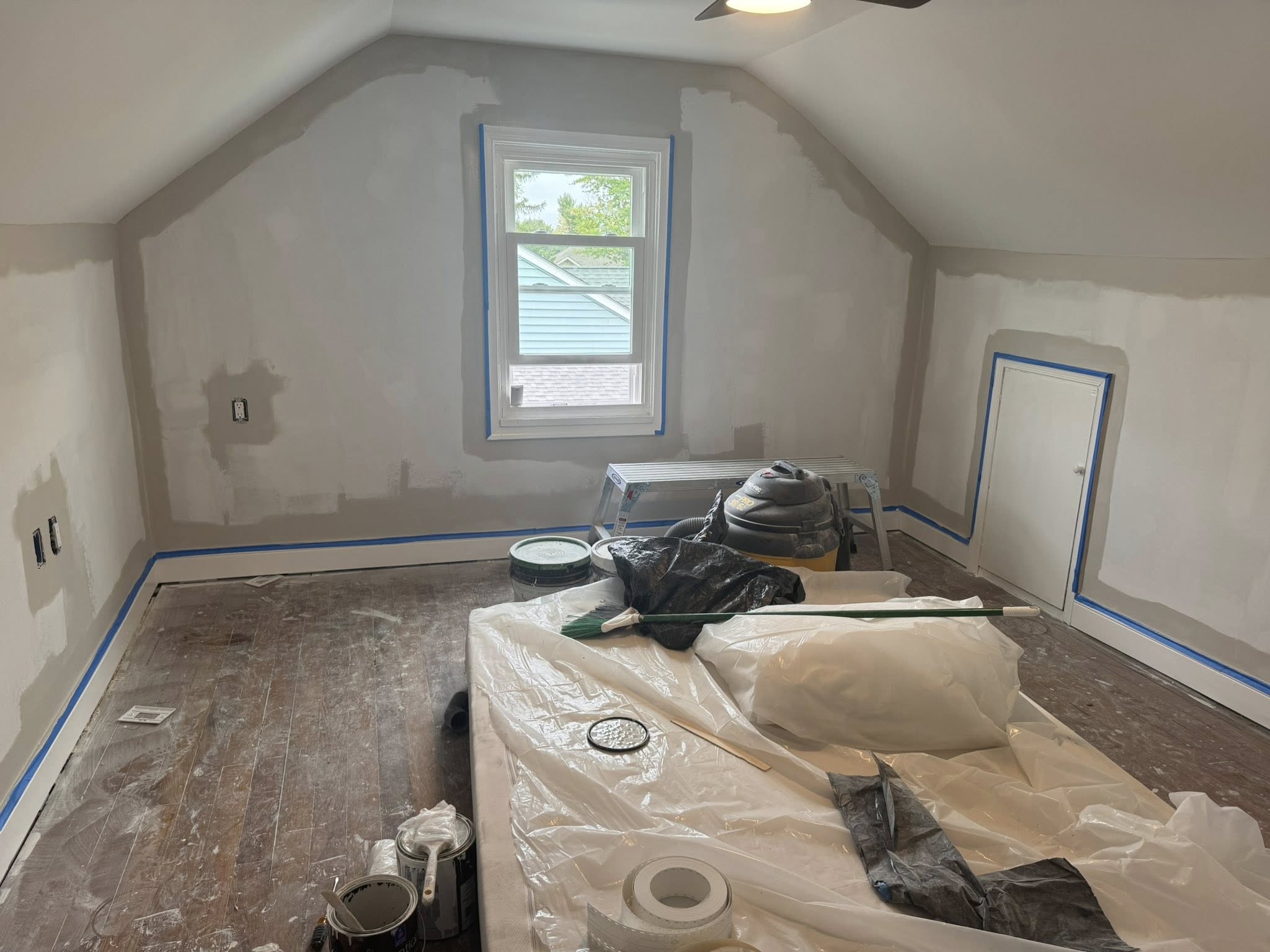 Carpet & Paint 2